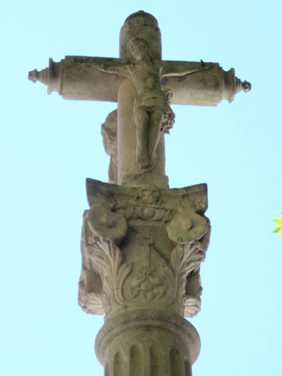 Irantzu kruzeroa, Abartzuza