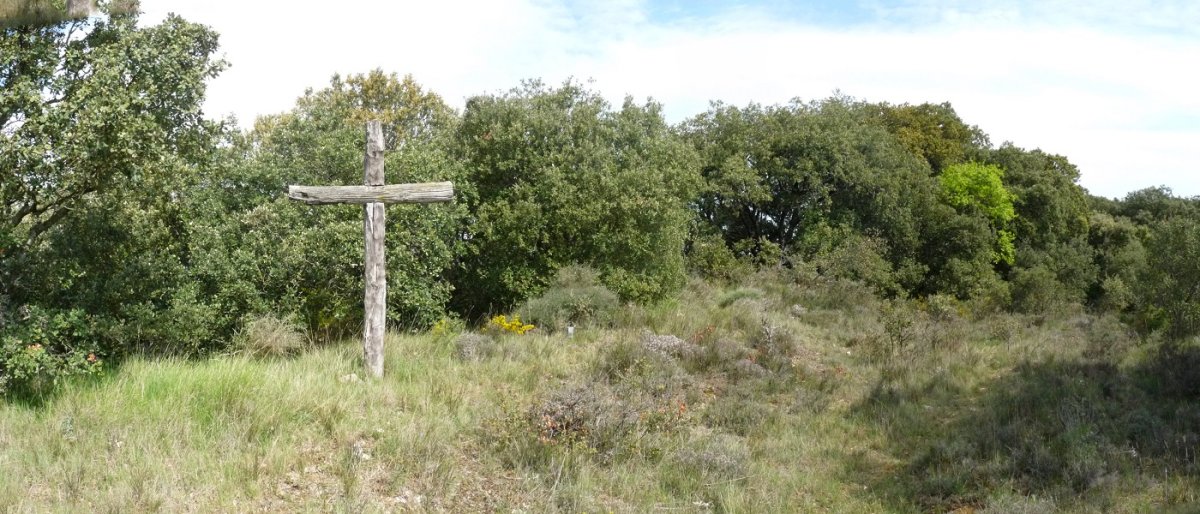 Bizkar mendiko gailurra