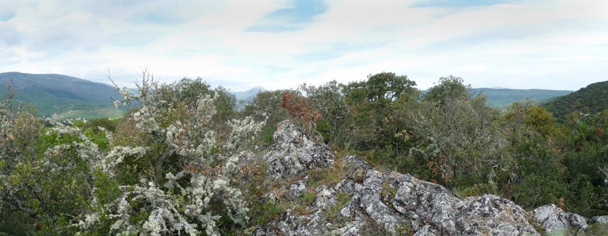 Garbalekuko hairrizko gailurra