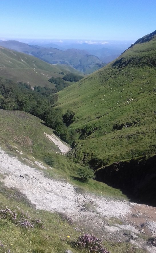 Haran ttipia: Errobiko iturria, edo ez..?