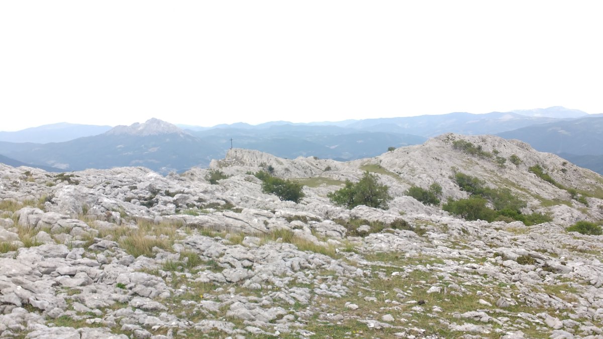 Kurtzeberri Elorretatik