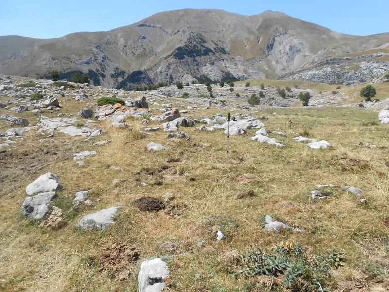 plano de la balsa harrespila