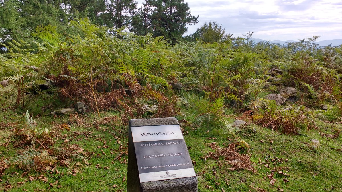 Aitzpuruko Zabala Trikuharria (2017)