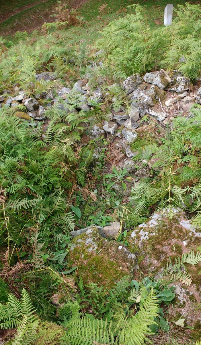 Aitzpuruko Zabala Trikuharria 3