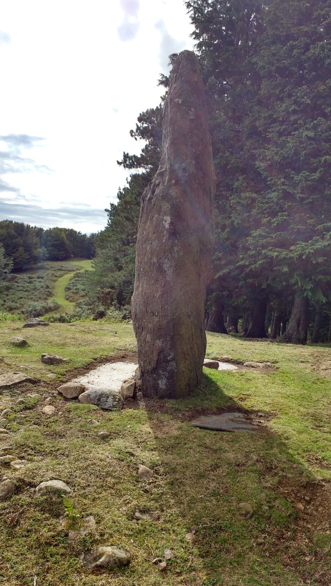 Arribiribilleta Zutarria 2