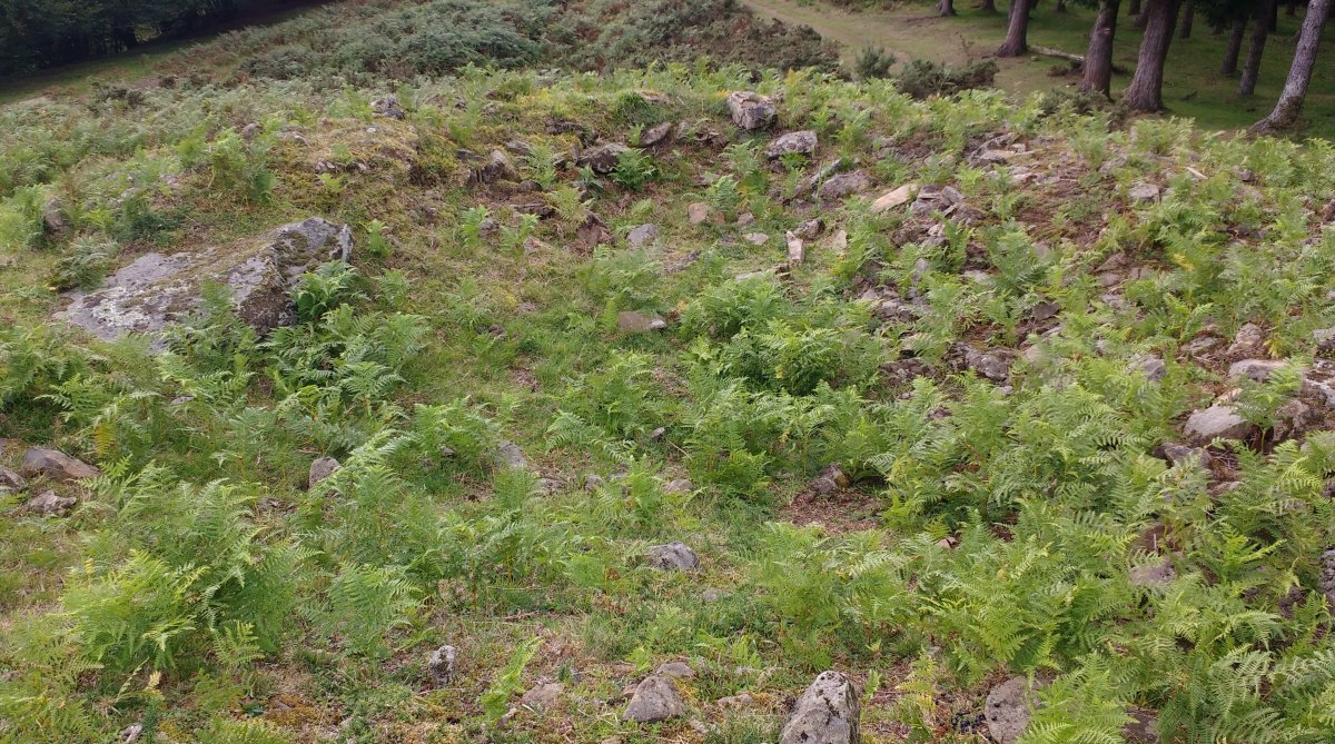 Irukurutzeta Trikuharria 2