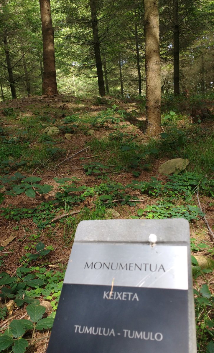 Keitxeta tumuloa (2017)