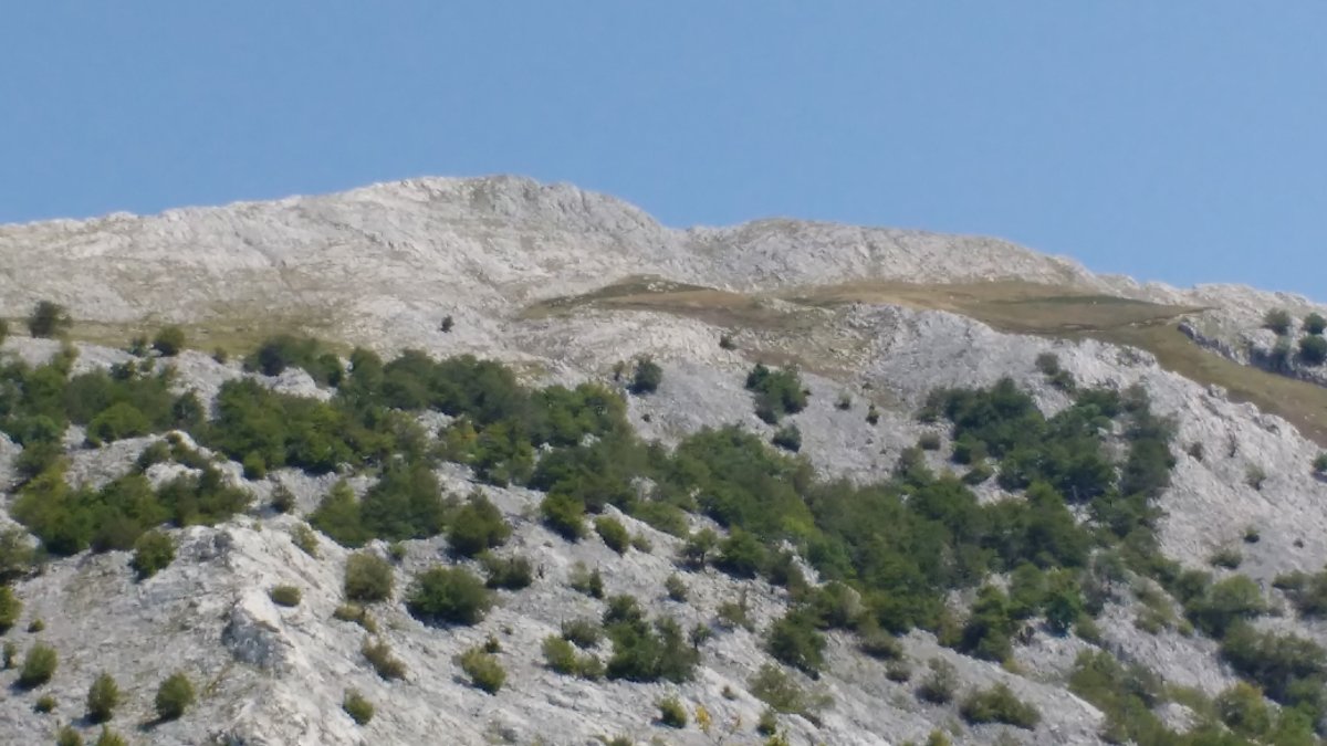 Aizkorriko mendilerroa