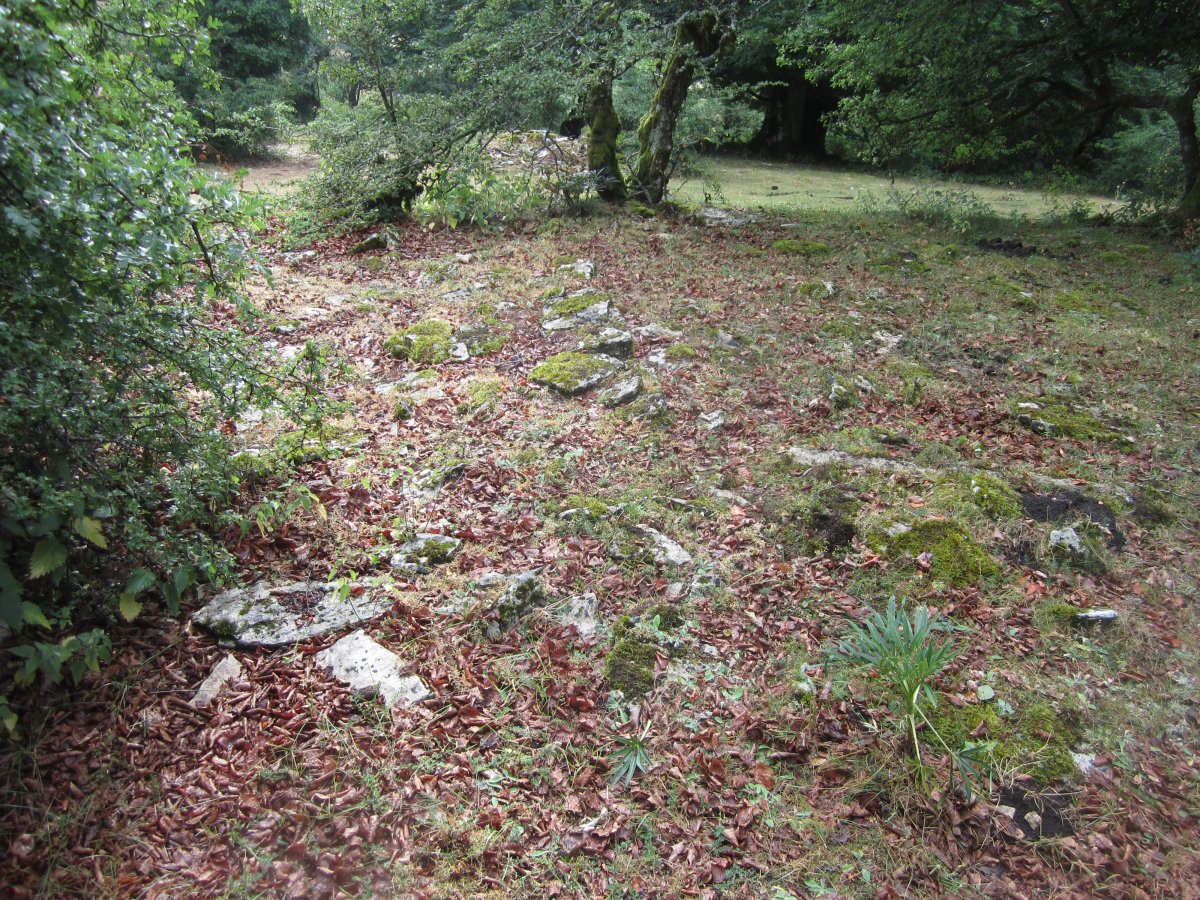 Dólmen Zaborrate  (Julio  2015)