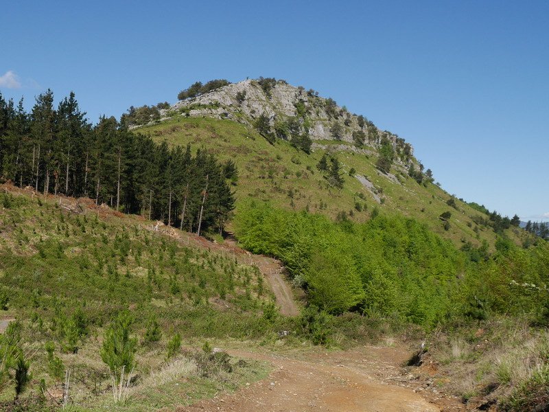 Bikotzganetik hurbiltzen den bidetik ikusita