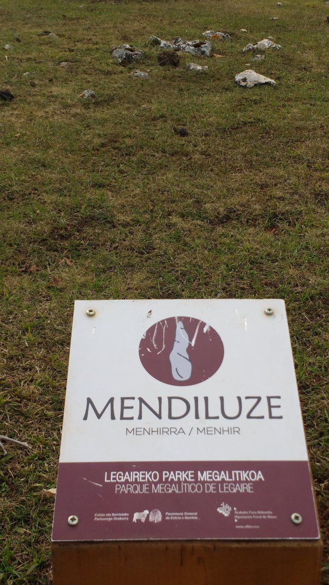 Mendiluze zutarria (2017)