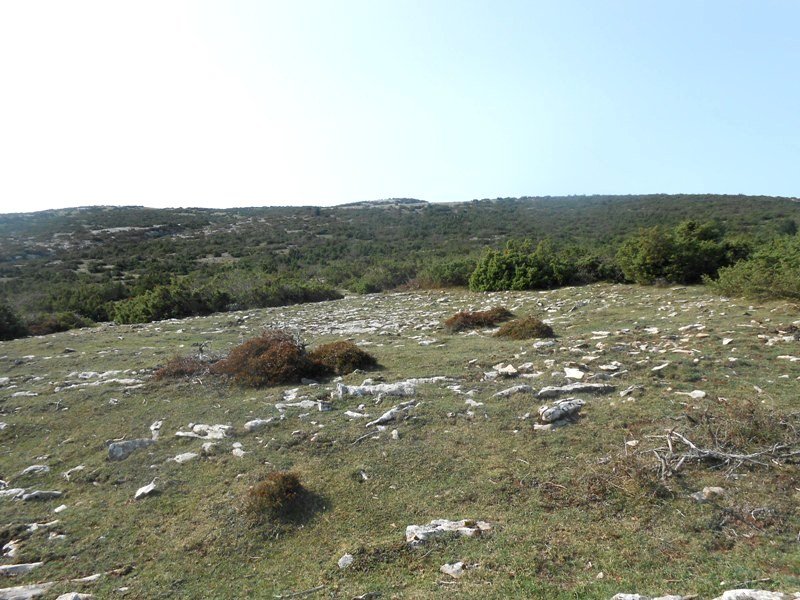 Lauzola eraztun-tumulua