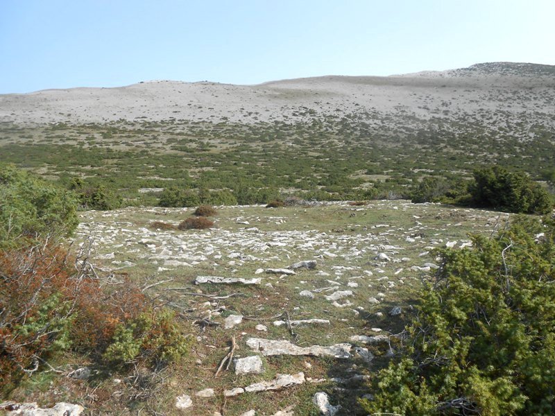 Lauzola eraztun-tumulua