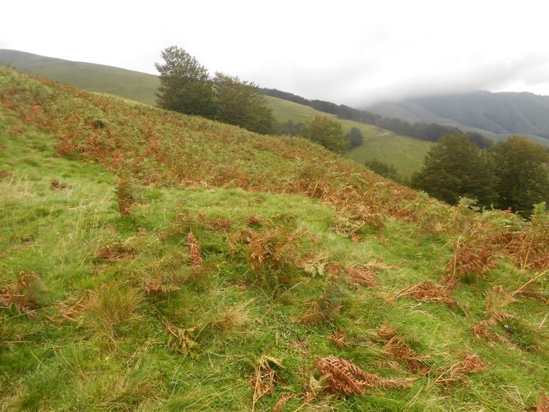 heguitchudia 3 etxola hondoa