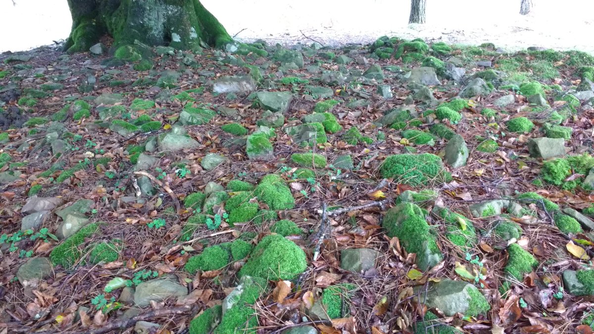 Arrolamendi I tumuloa 4