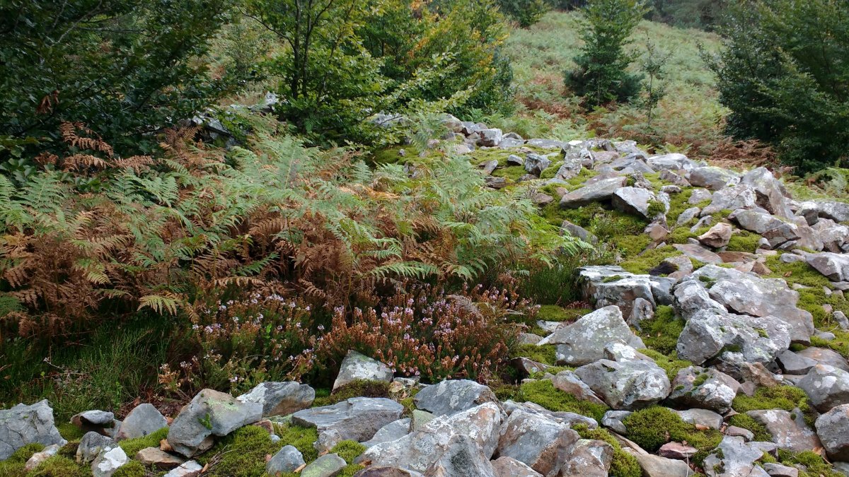 Jentiletxe tumuloa 3