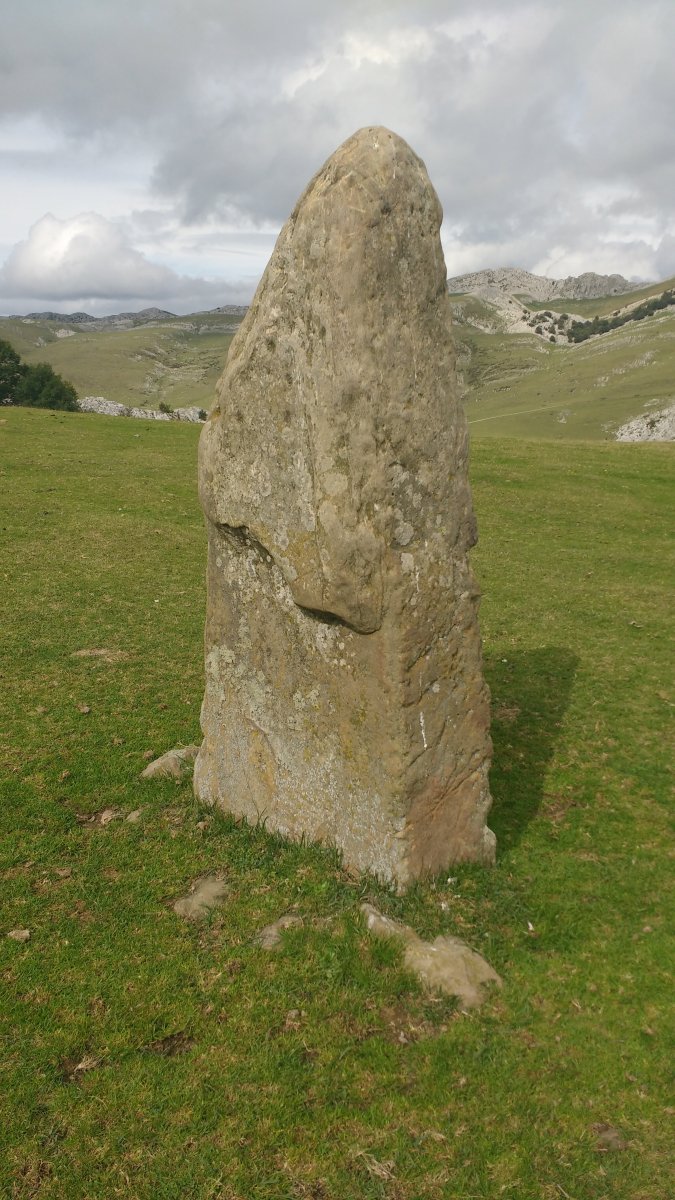 Zorrotzarri zutarria