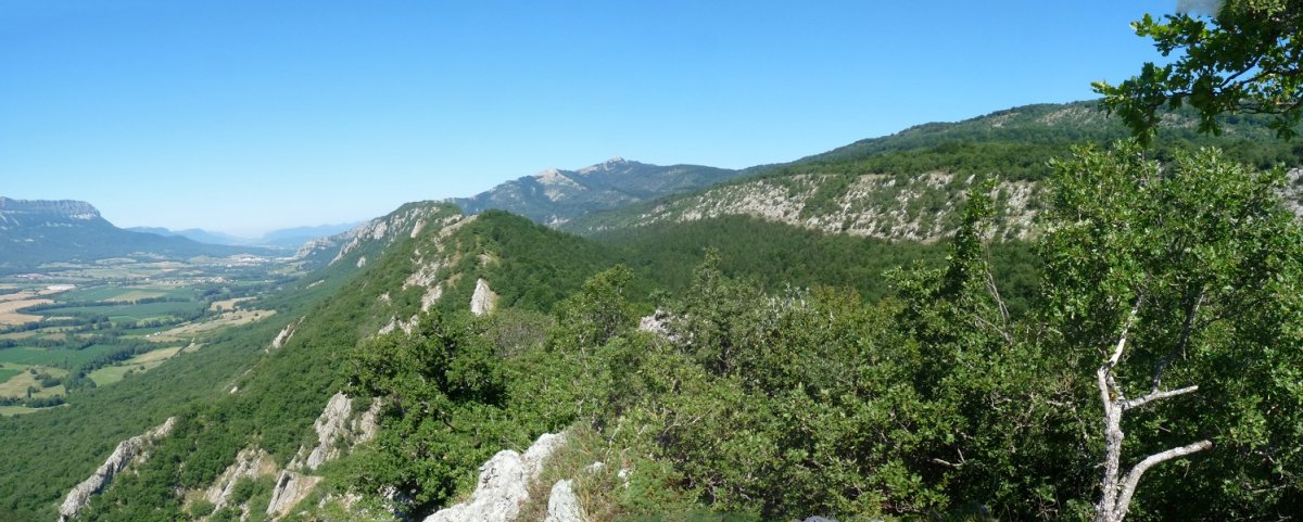 Aritzabal edo Urbaran