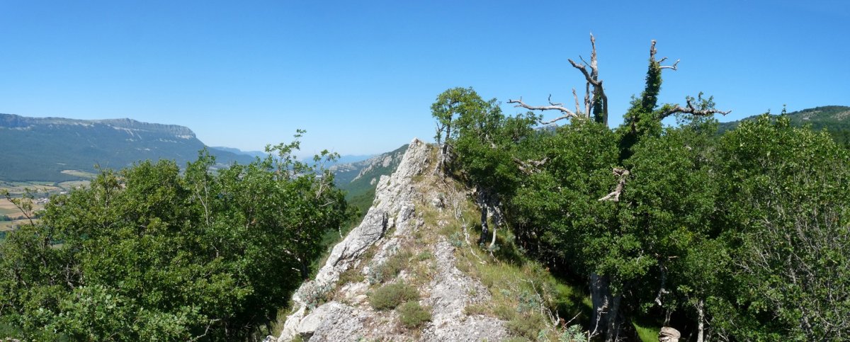 Aritzabal edo Urbarango gailurra