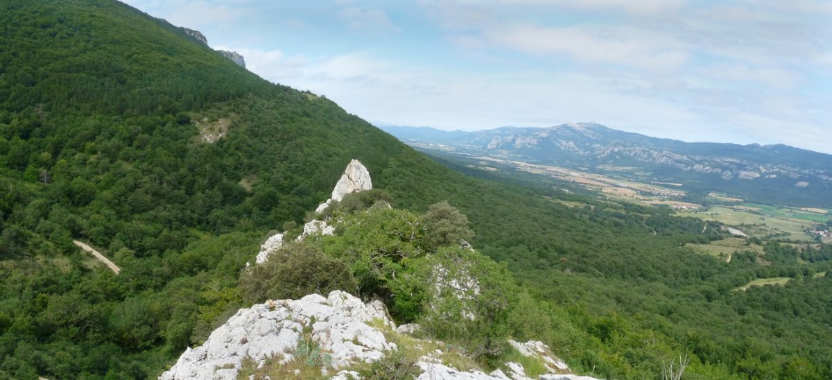 Irañetako harrien gandorra