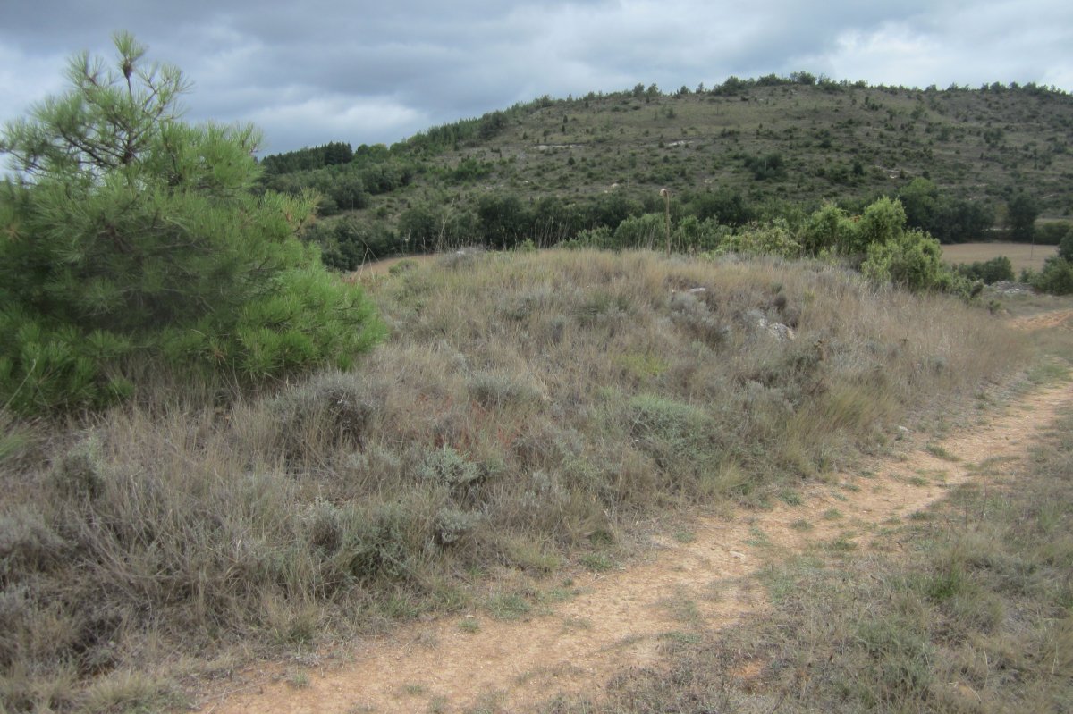 Túmulo San Quílez  (Septiembre 2017)