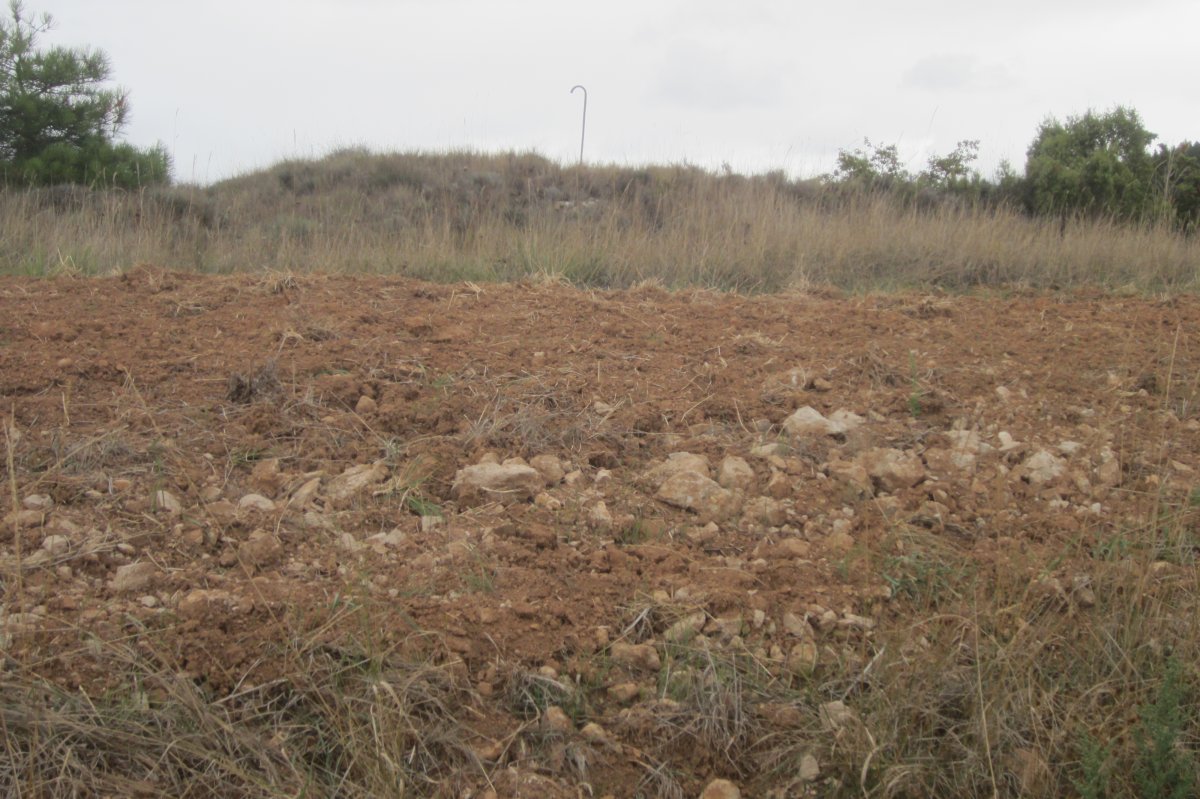 Túmulo San Quílez  (Septiembre 2017)