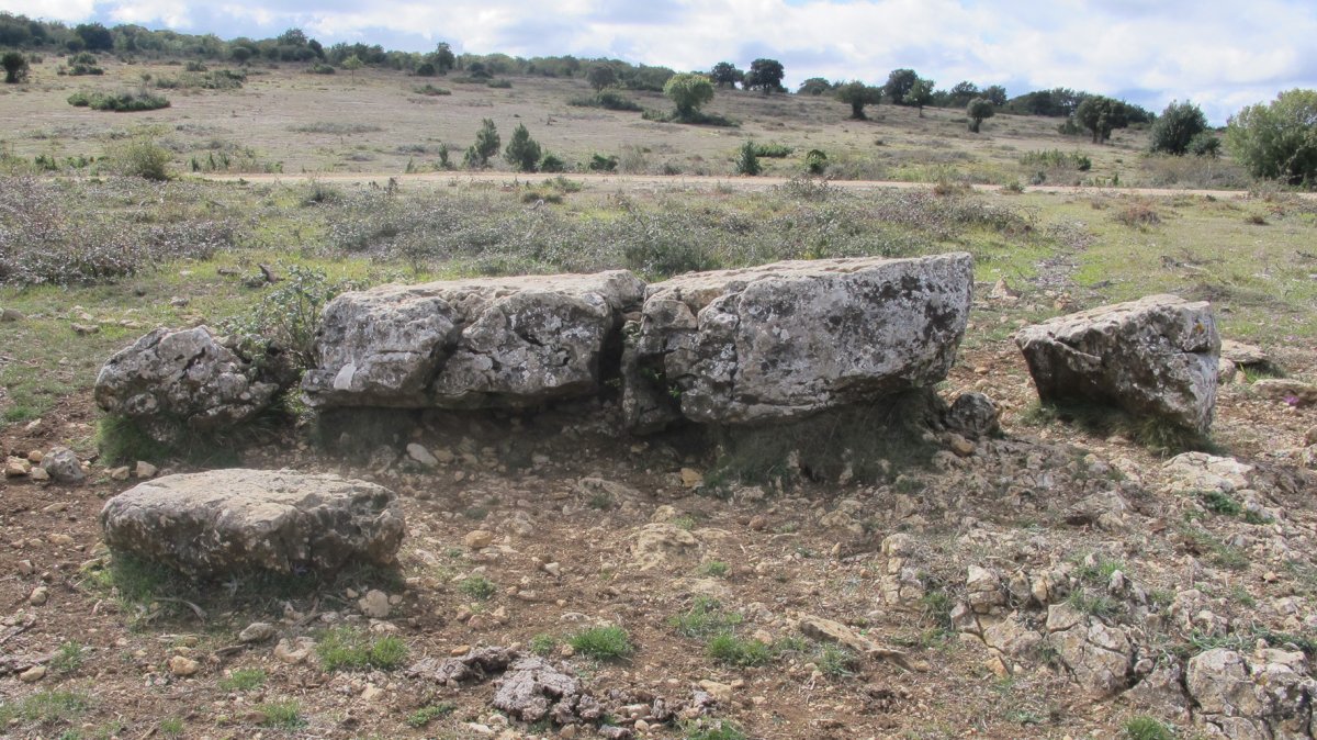 Raso de Biloria zutarria, Biloria-Lana