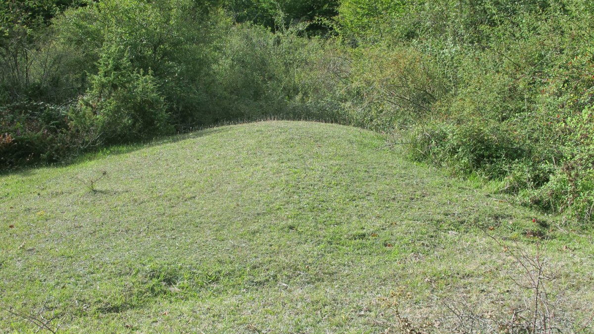 Bagoandi etxola hondoa, Biloria-Lana