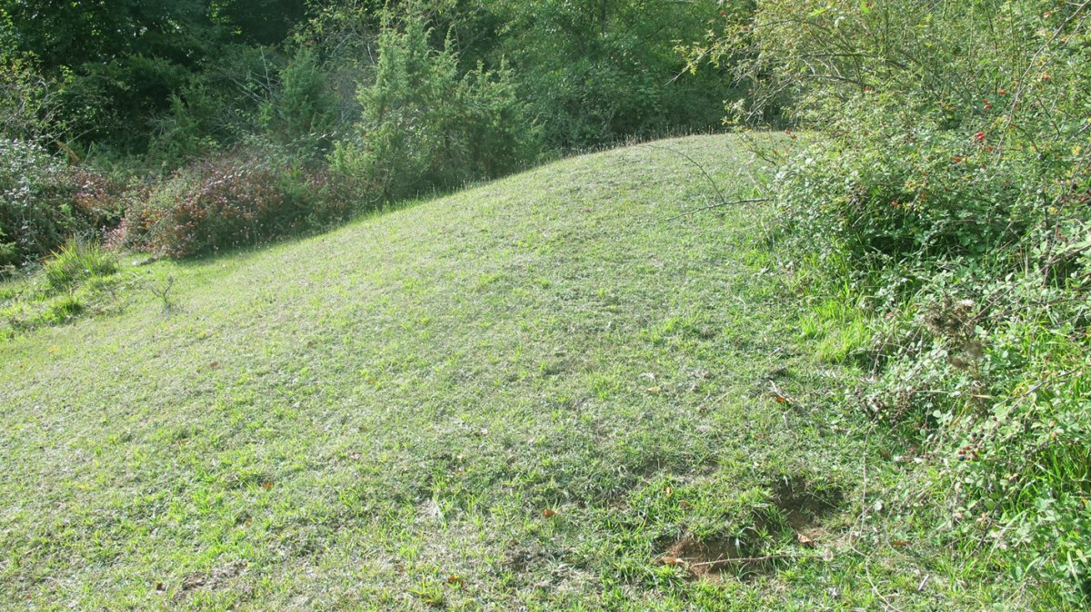 Bagoandi etxola hondoa, Biloria-Lana