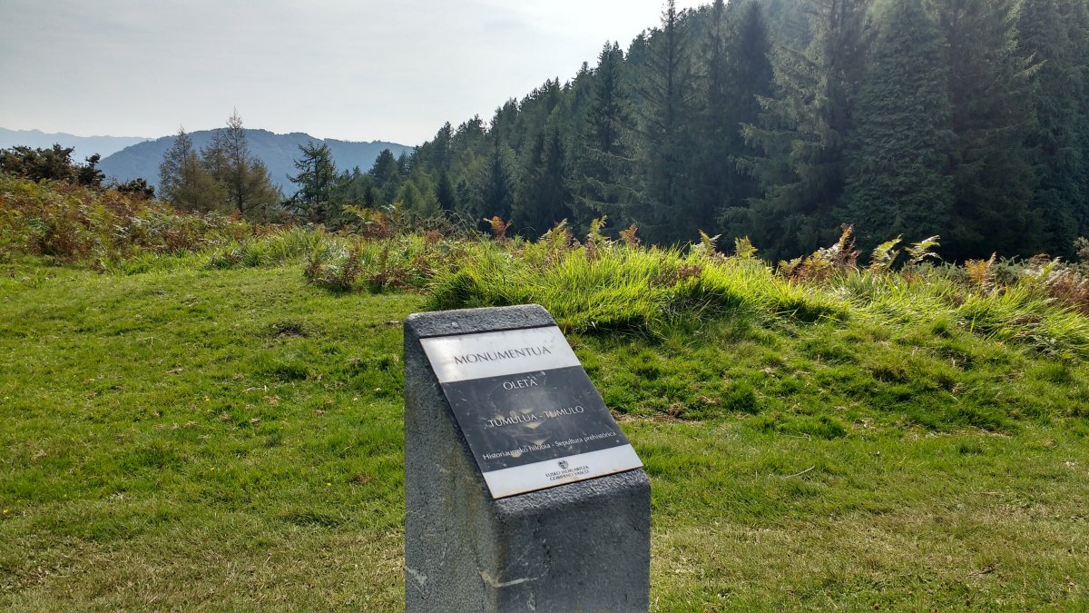 Oleta tumuloa (2017)