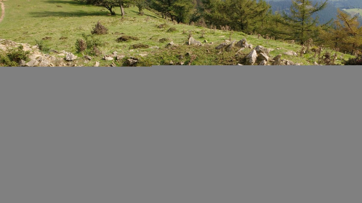 Iruarrieta trikuharria 3