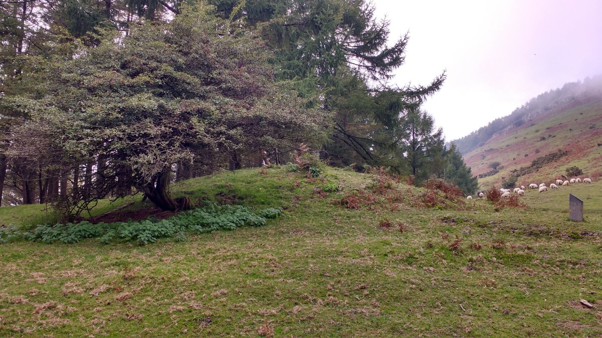 Iruarrieta II trikuharria 3