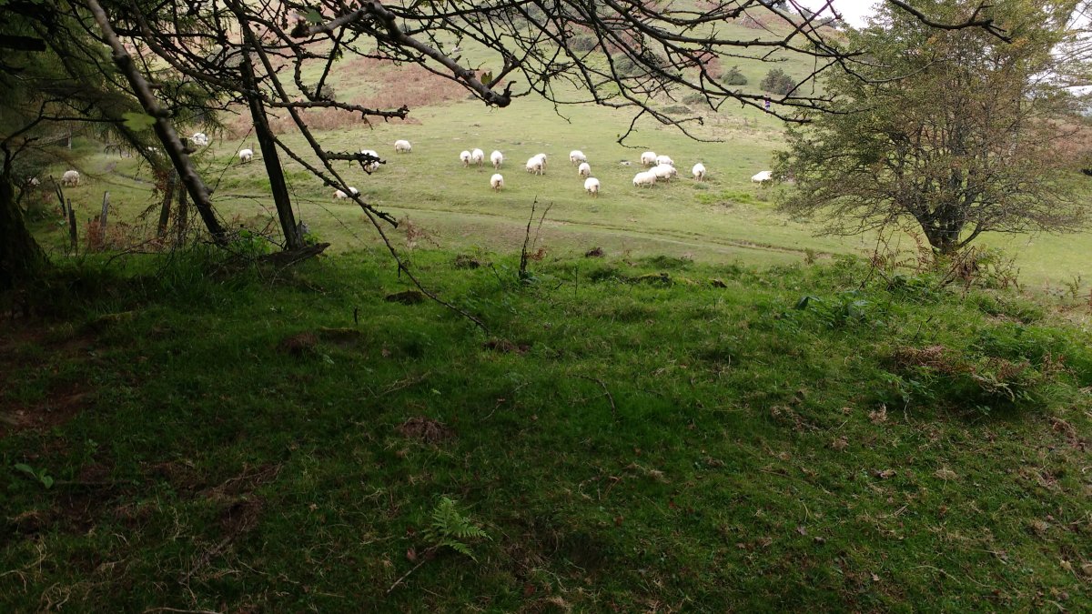 Iruarrieta II trikuharria 2