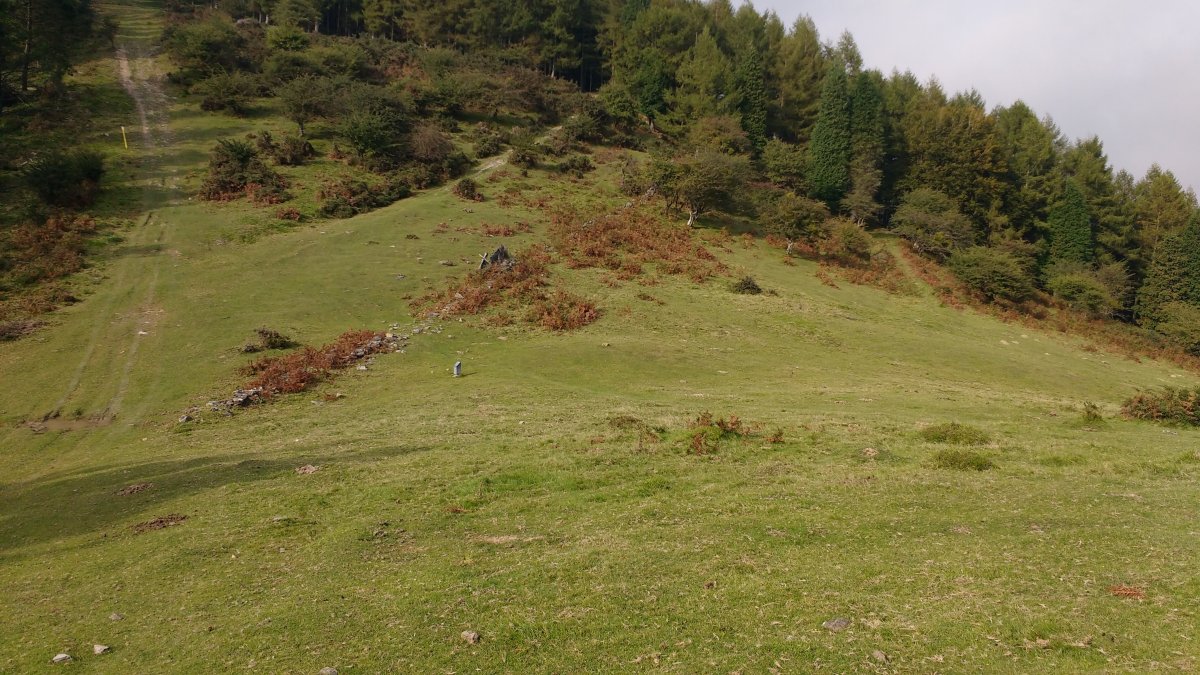 Pagobakarrra tumuloa 3