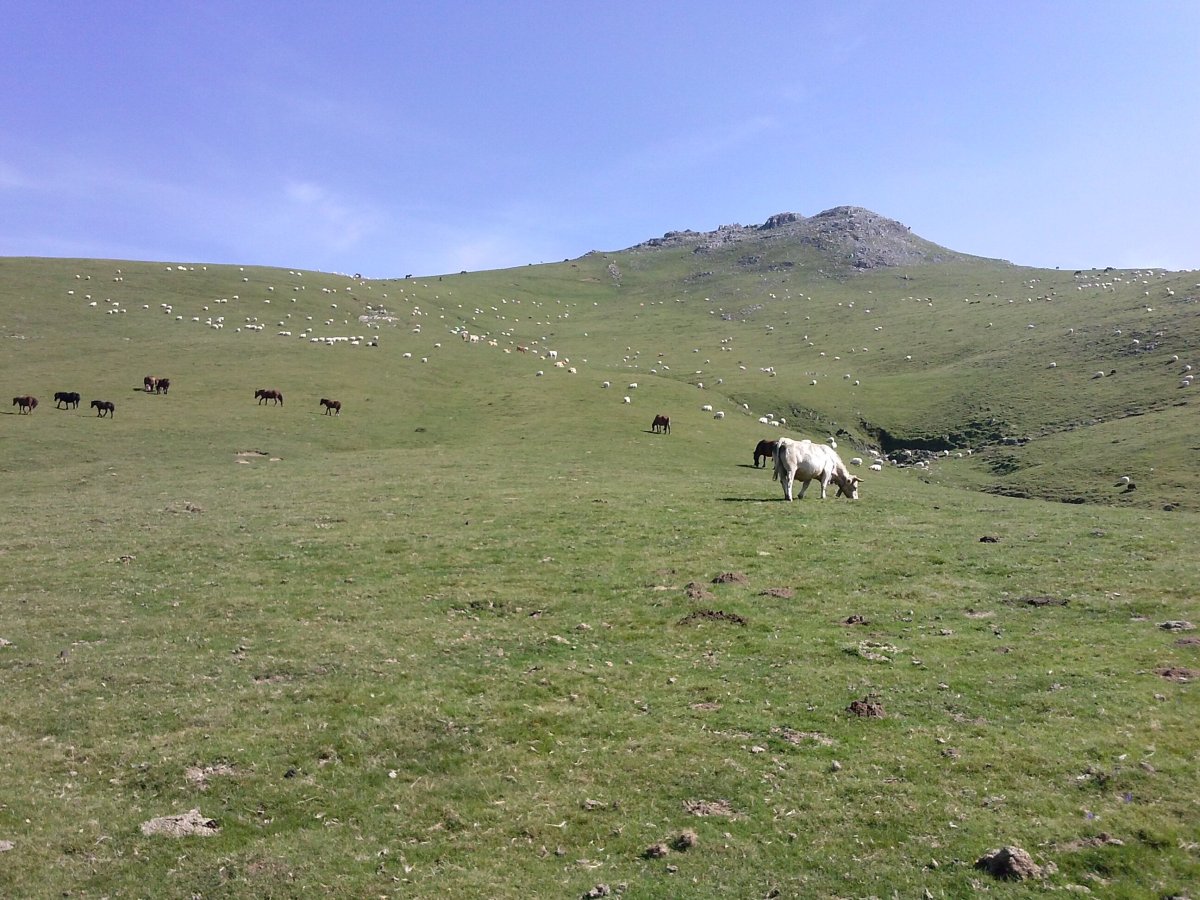 Ganboa txiki (1377m)