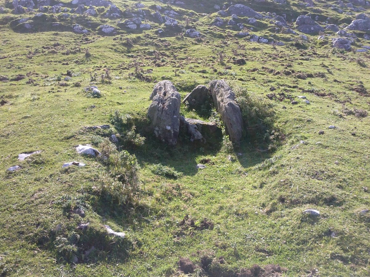 Ausokoi trikuharria 2