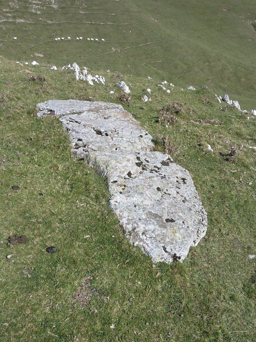 Arrubi zutarria (2017)