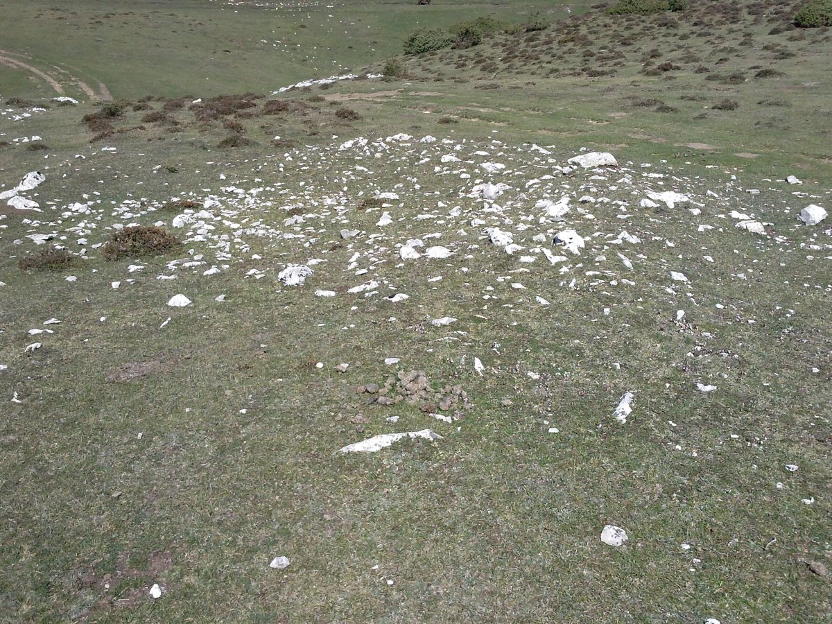 Fuente Fria (Iturriotz) trikuharria 4