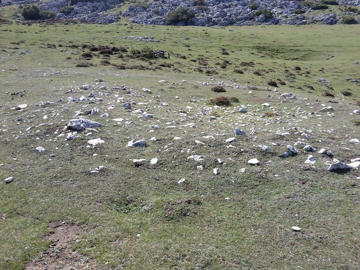 Fuente Fria (Iturriotz) trikuharria (2017)