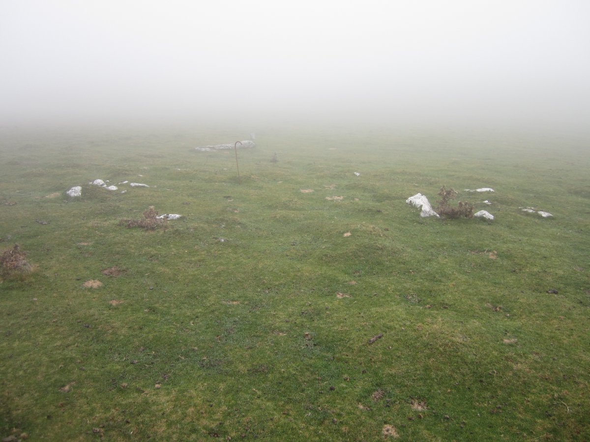 Cromlech Igaratza II b (Noviembre 2015)