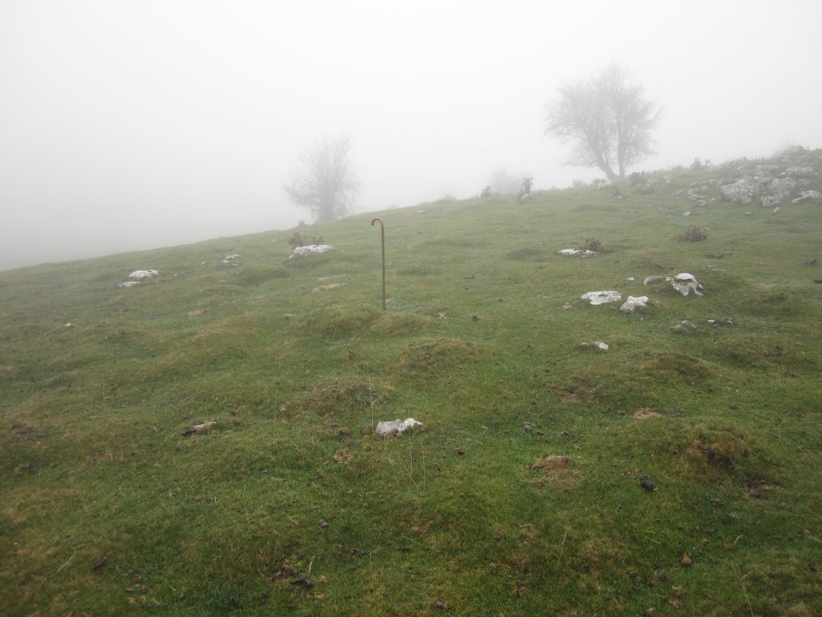 Cromlech Igaratza II b (Noviembre 2015)