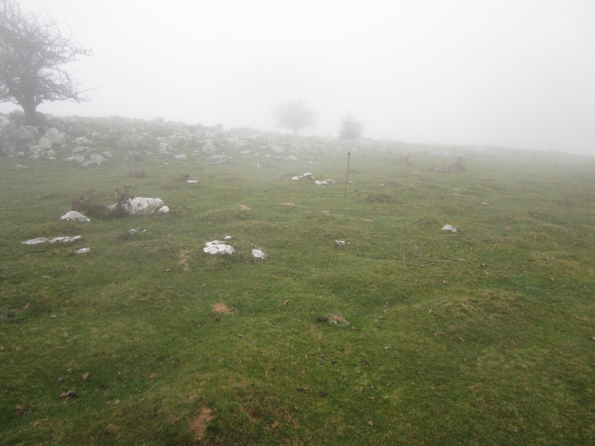 Cromlech Igaratza II b  (Noviembre 2015)