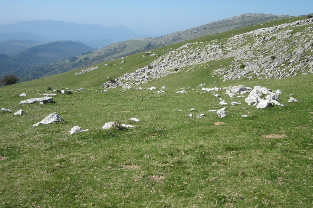 Cromlech Olamuño Oeste I  (Septiembre 2017)