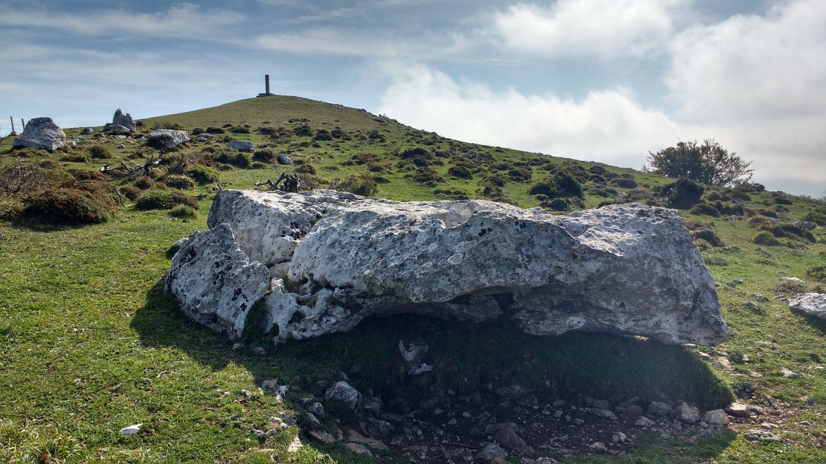 Baitza tontorra eta zutarria mendebalde hegalean