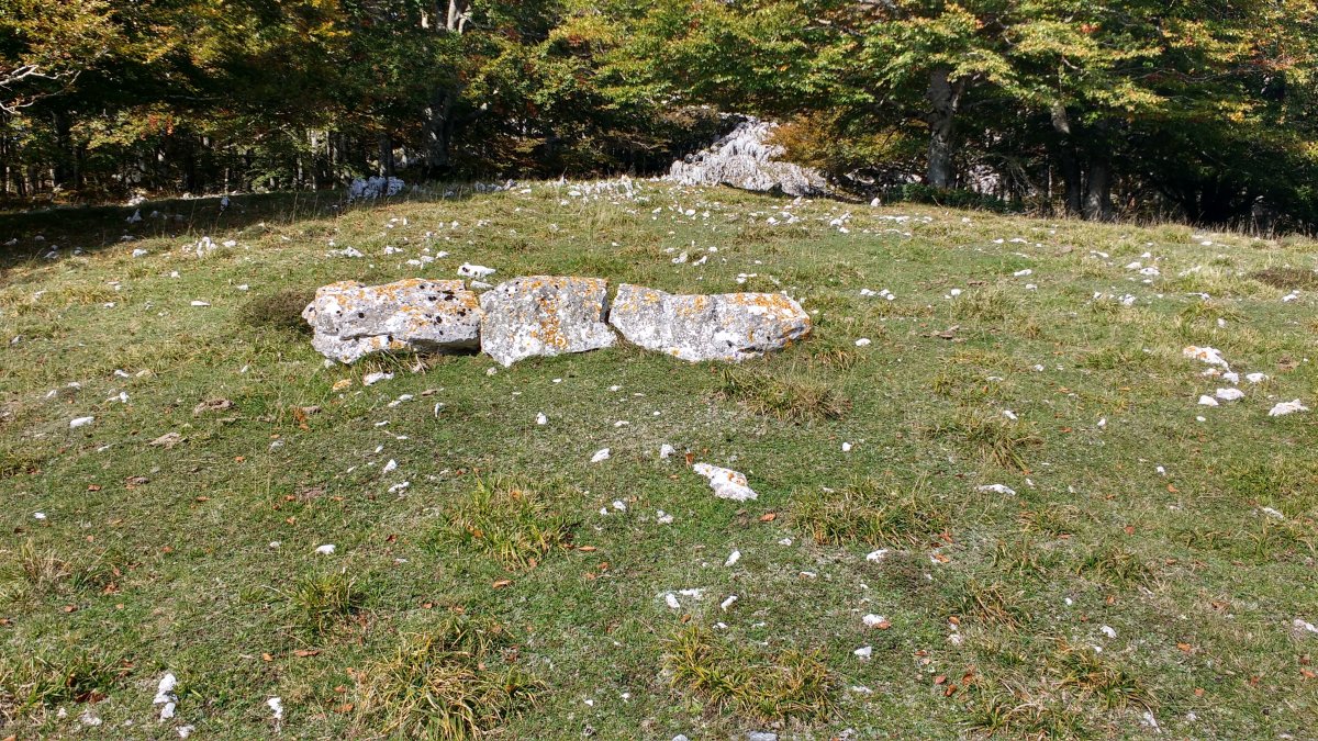 Aginan zutarria (2017)