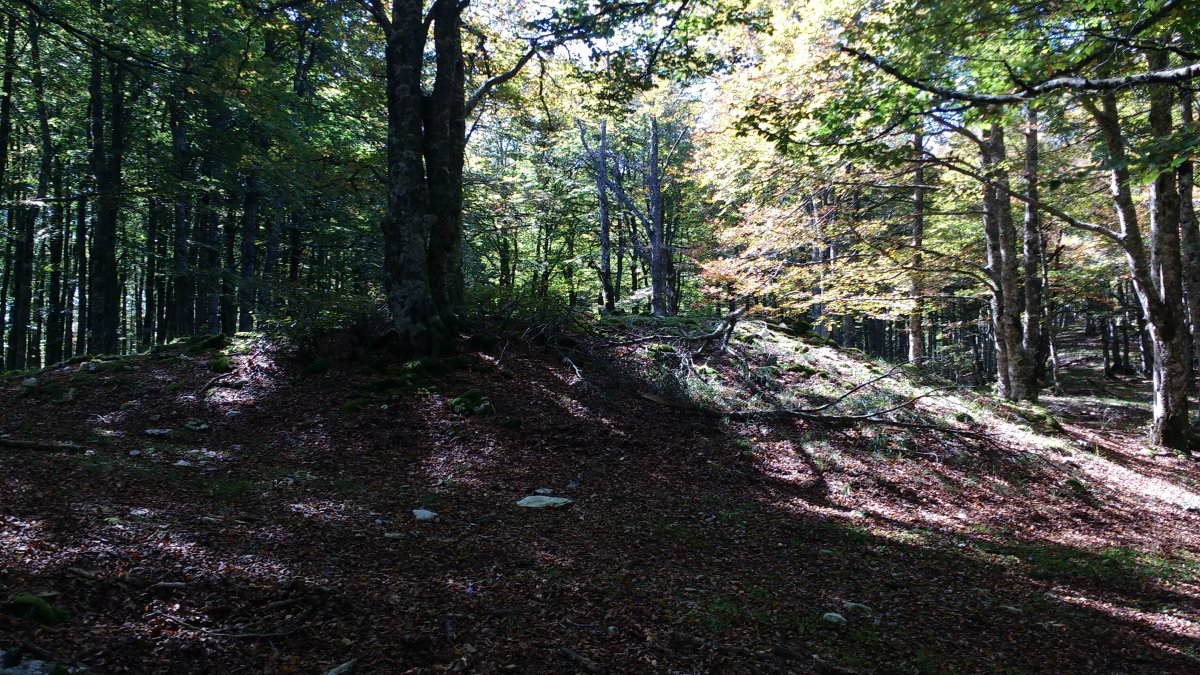 Lubierri 1 ekialde (Obas) trikuharria 1