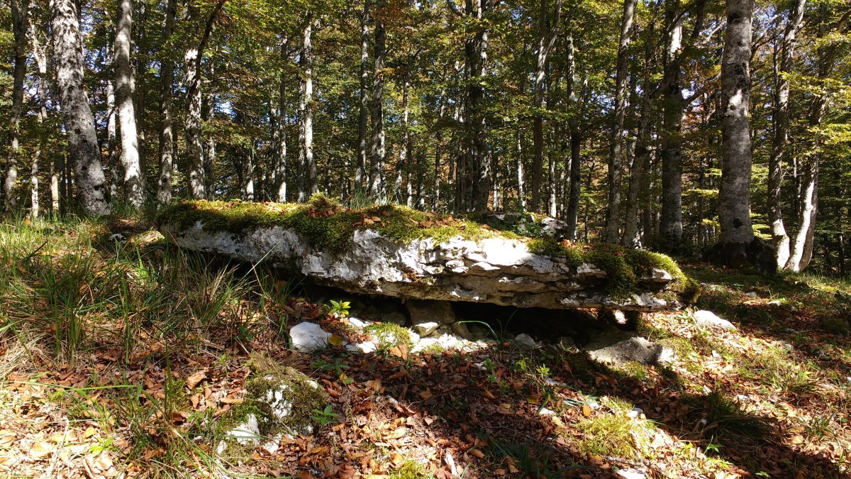 Lubierri 2 mendebal (Obas) trikuharria 6