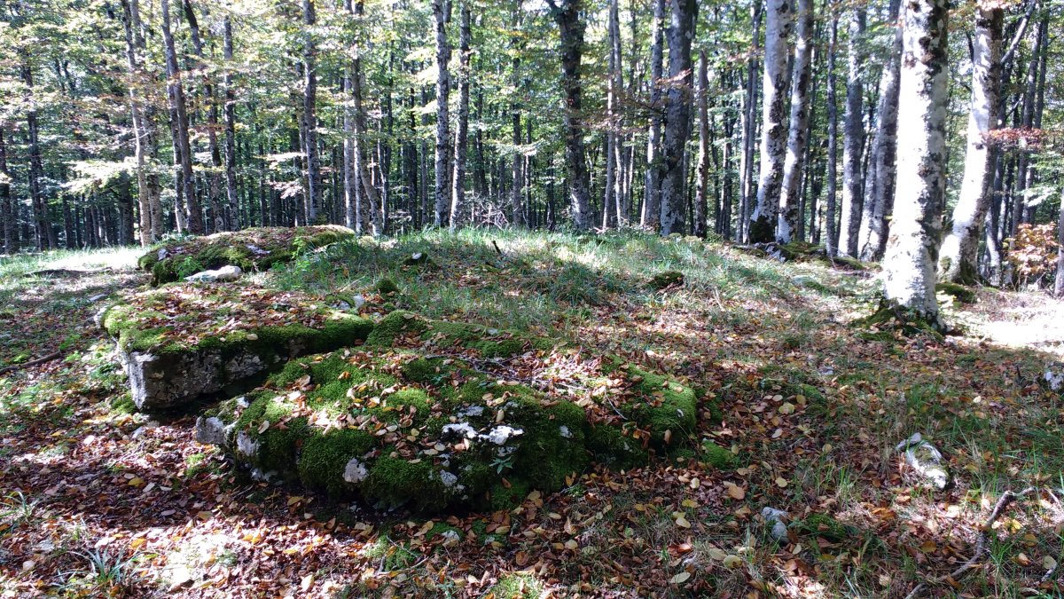 Lubierri 2 mendebal (Obas) trikuharria 3