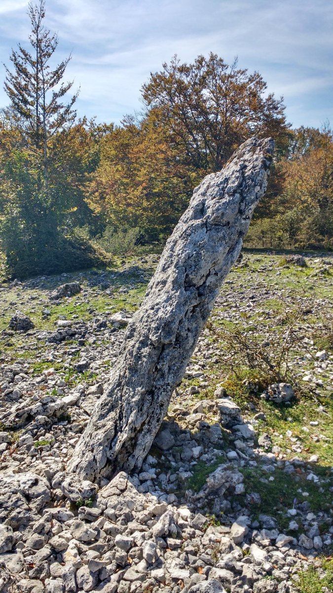 Bretxagaina (Mugako-Arriya) zutarria 2