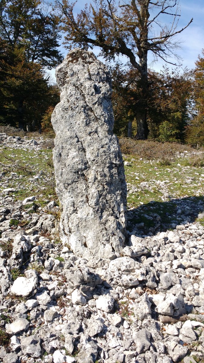 Bretxagaina (Mugako-Arriya) zutarria (2017)